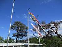 こいのぼり① IMG_9404.JPG