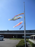 こいのぼり② IMG_9410.JPG