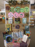 植物ってふしぎ① IMG_9377.JPG