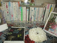 商店街　　花屋の本　IMG_2561.JPG