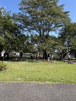 IMG_0566　ヨガ　.jpg
