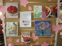 さくら桜サクラ 上 MG_1681.JPG